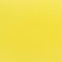 Muestra Charol 03 Amarillo de Zapatillas Coral