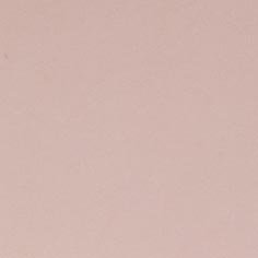 Muestra Charol 15 Rosa de Zapatillas Coral
