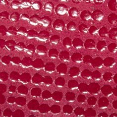 Muestra Fantasía Cascabel de Zapatillas Coral