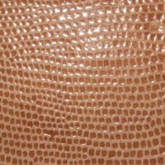 Muestra Fantasía Fish de Zapatillas Coral
