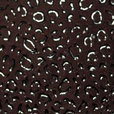 Muestra Fantasía Leopardo de Zapatillas Coral