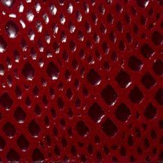 Muestra Fantasía Python de Zapatillas Coral
