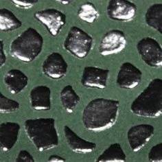 Muestra Fantasía Tortuga de Zapatillas Coral