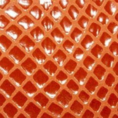 Muestra Fantasía Vipera de Zapatillas Coral