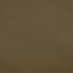 Muestra Piel 04 Beige Oscuro de Zapatillas Coral