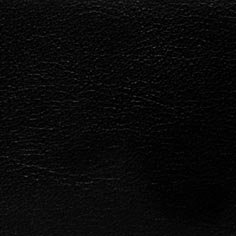 Muestra Piel 15 Negro de Zapatillas Coral