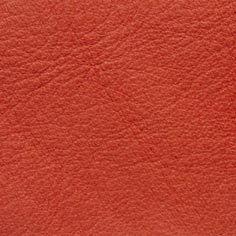 Muestra Piel 16 Rojizo de Zapatillas Coral