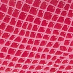 Muestra Serpiente 09 Fucsia de Zapatillas Coral