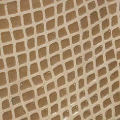 Muestra Serpiente 12 Beige de Zapatillas Coral