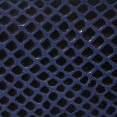 Muestra Serpiente 15 Azul de Zapatillas Coral
