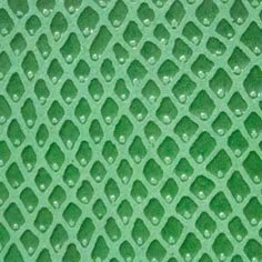 Muestra Serpiente 18 Verde de Zapatillas Coral