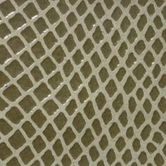 Muestra Serpiente 24 Verde Mil de Zapatillas Coral